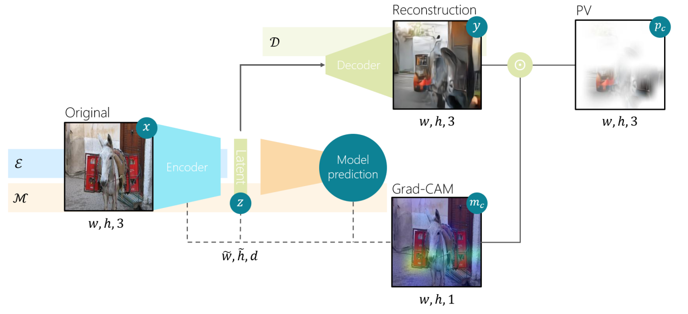 Perception Visualization